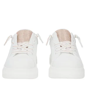 SF2501S015.2